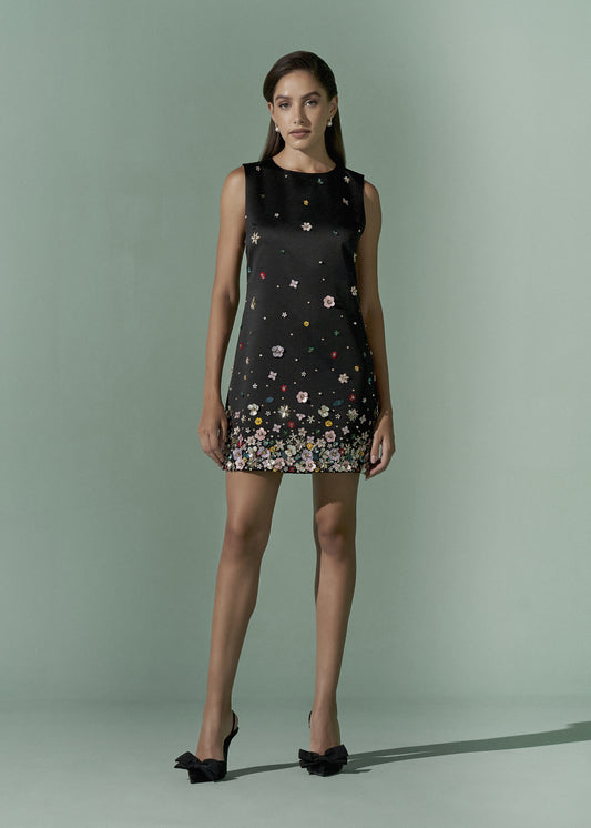 Embroidered Mini dress