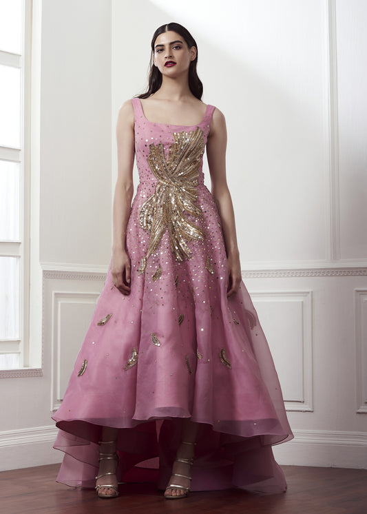 Organza Embroidered Gown