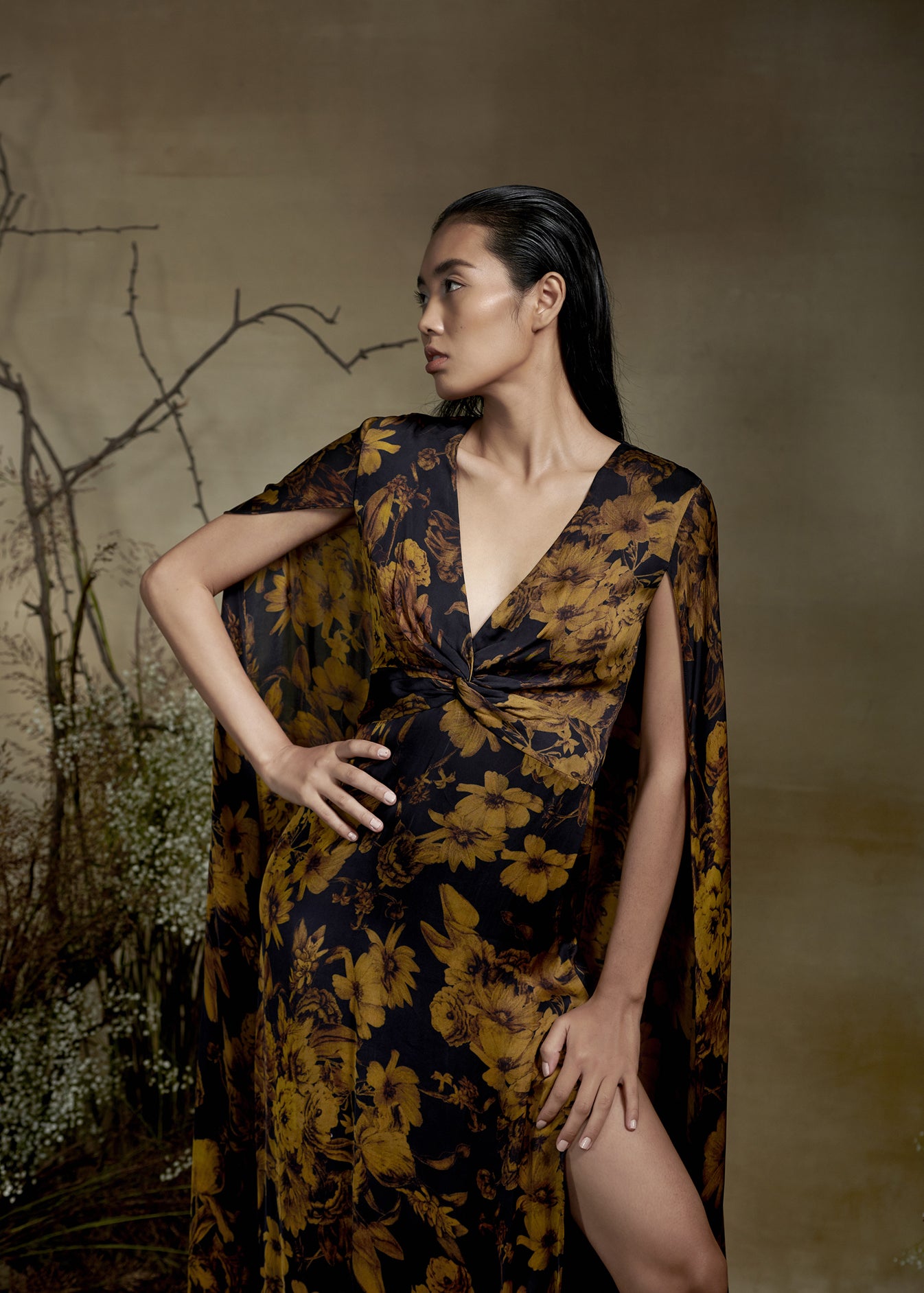 Printed Cape Dress