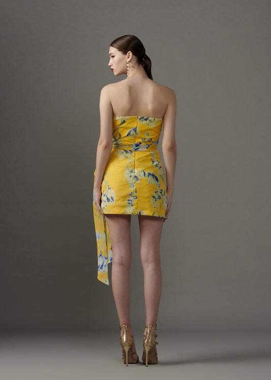 Printed Mini Dress