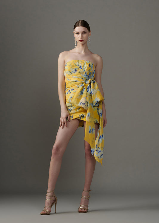 Printed Mini Dress