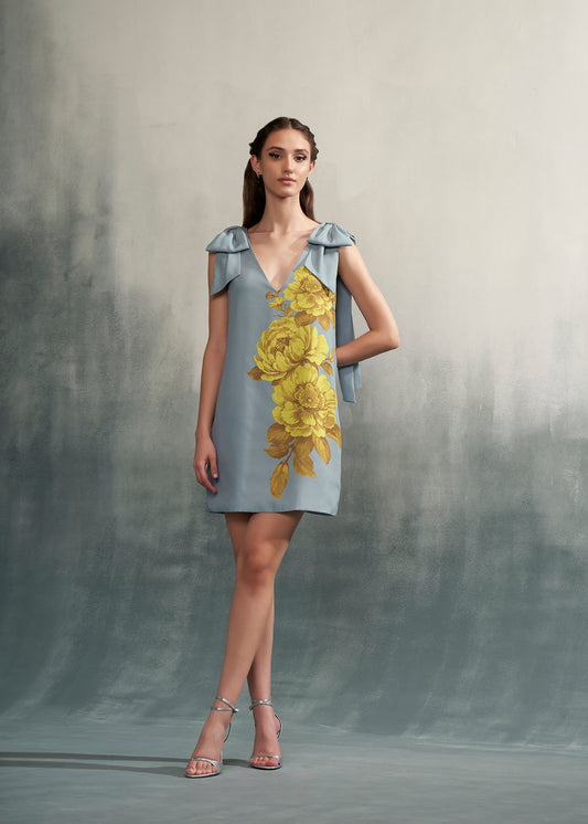 Printed Mini Dress