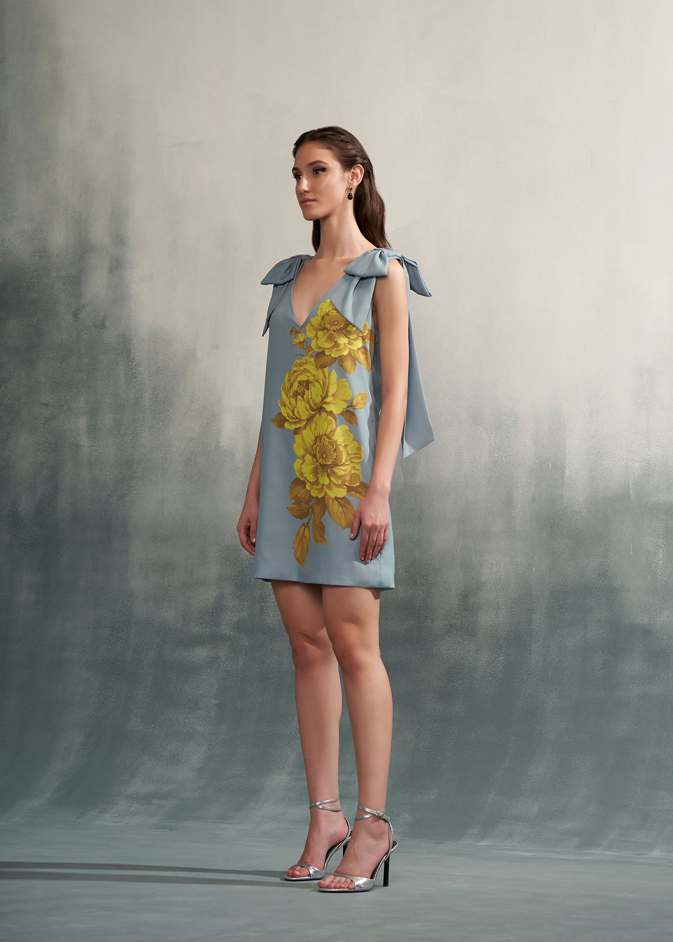 Printed Mini Dress
