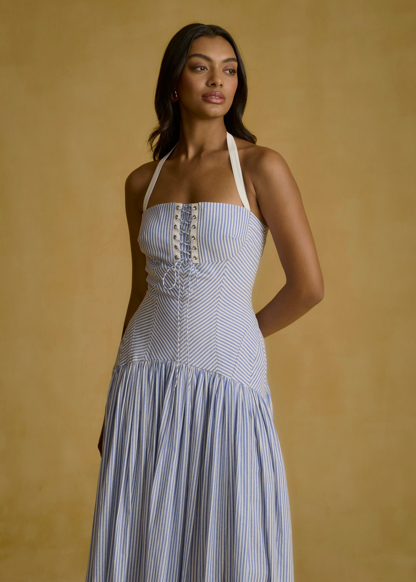 Pinstripe Corset Midi Dress